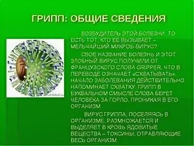 Грипп биология