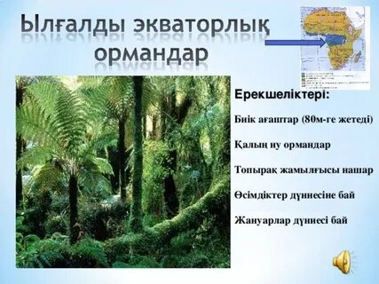 Армия жалаңаш қызыл шашты