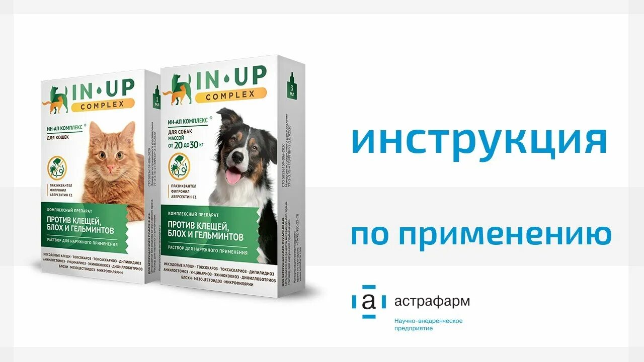 In up сайт. Ин-ап комплекс для кошек. Ин-ап комплекс для собак. Ин-ап комплекс (in-up Complex. Ин-ап комплексные капли для кошек.