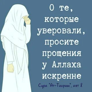 Проси прощения