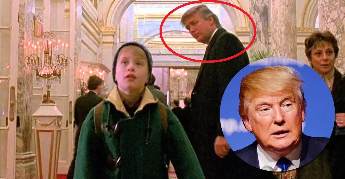 один дома 2 затерянный в нью-йорке дональд трамп. трамп в один дома фото. трамп в один дома фото. дональд трамп снимался в фильме 1 дома. трамп в один дома фото.