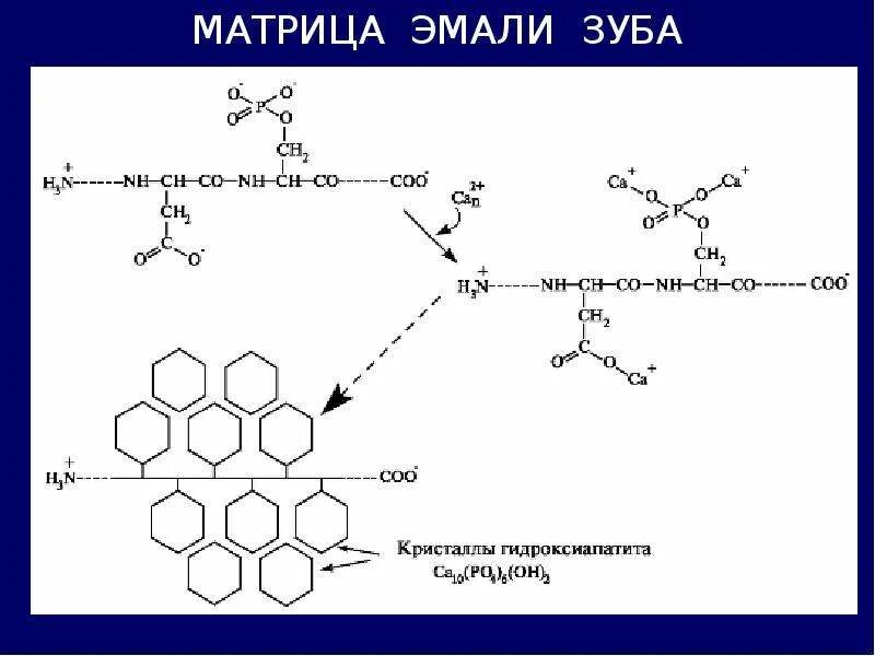 Биохимия зуба. Строение кристаллов гидроксиапатита. Формула гидроксиапатита биохимия. Строение кристаллов гидроксиапатита биохимия. Реакция формирования гидроксиапатита.