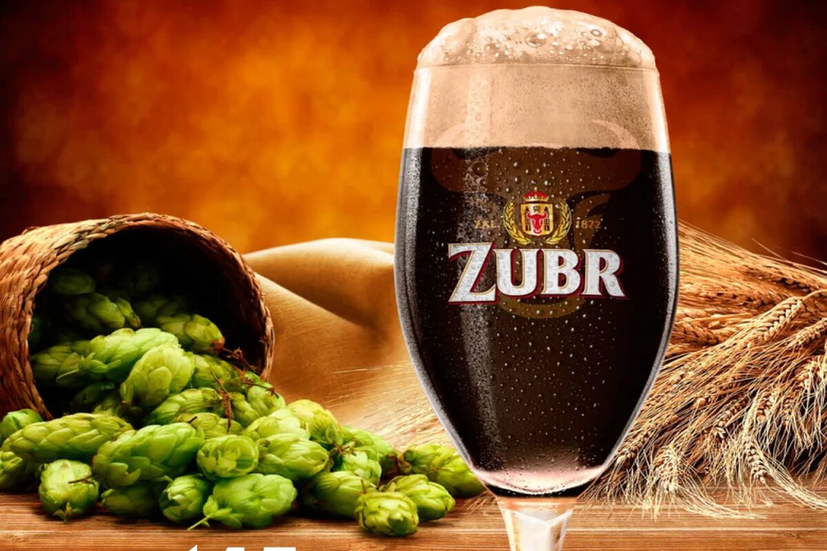 1ak zubr. Зубр дарк пиво. zubr 145. zubr classic dark бокал. zubr tmavi пиво.