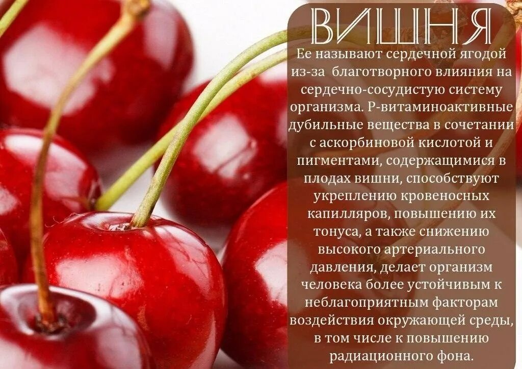 Вишня лечебные свойства и применение. Черешня польза. интересные факты о черешне. чем полезна вишня. интересные факты о вишне.