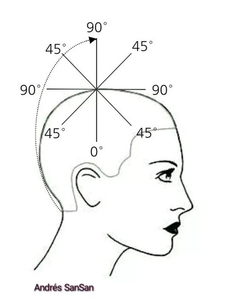Затылок схема. Углы оттяжки волос схемы. Схема головы для парикмахеров. Проекция в стрижке. Парикмахер разметка головы.