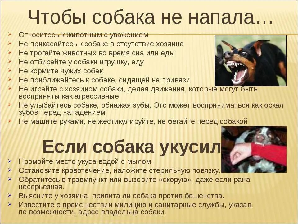 Как отучить соседскую собаку