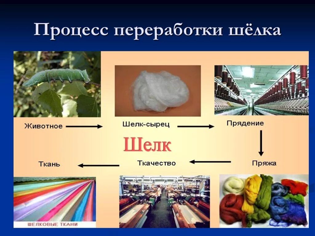 Разматывание коконов тутового шелкопряда. Тутовый шелкопряд натуральный шелк. Производство шелка. Изделия из шелковой ткани. Тутовый шелкопряд шелководство.