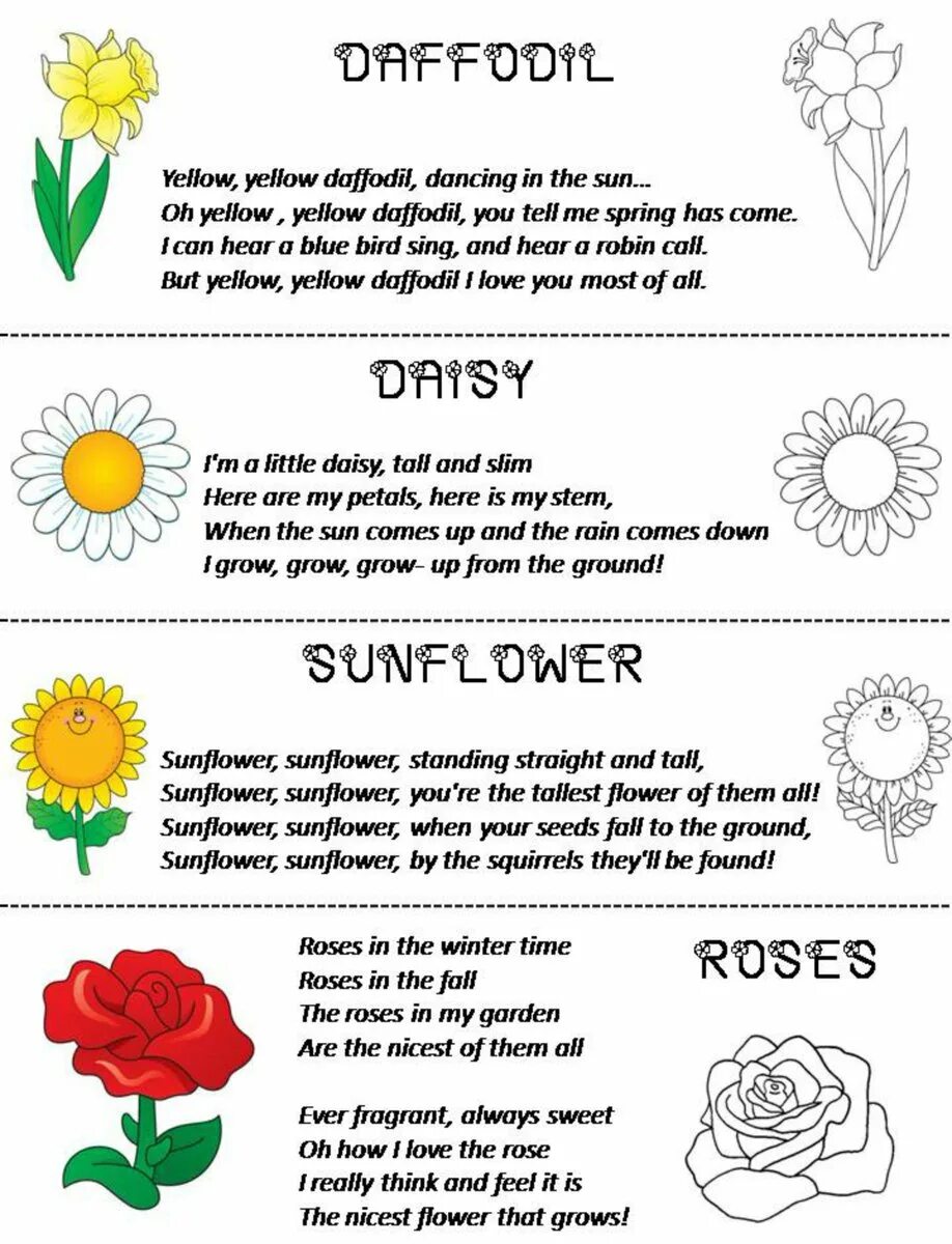 Flower exercise
