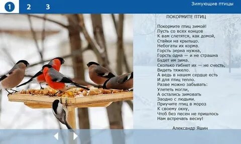 Птицы зимой текст