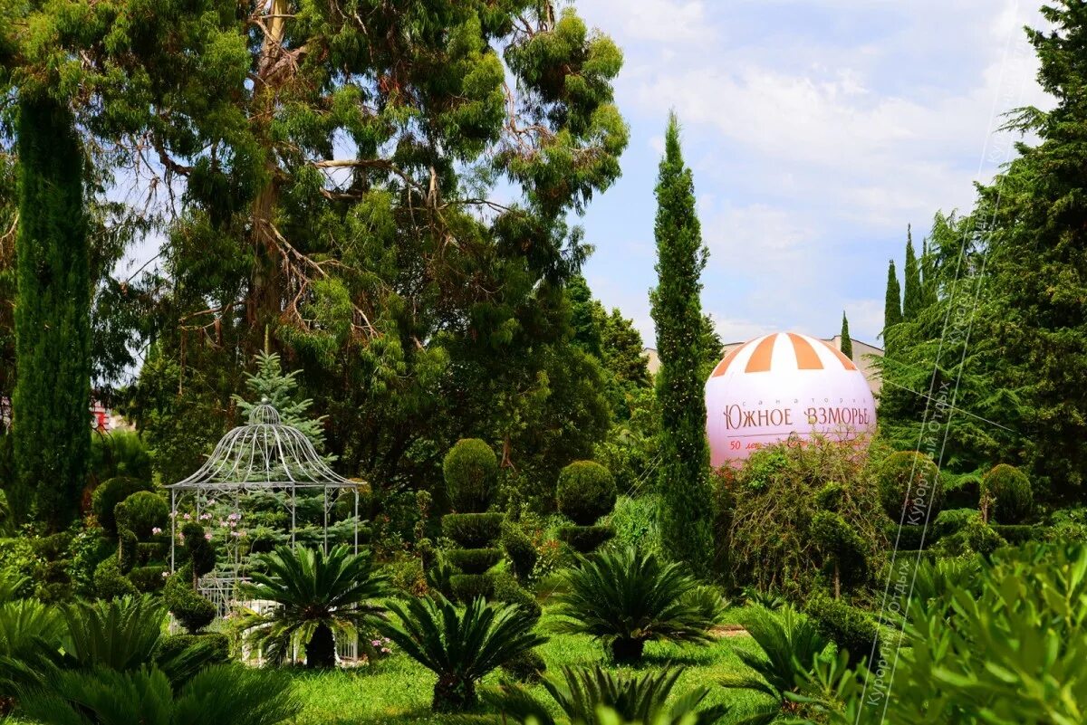 Южное взморье санаторий адлер территория. Южное взморье санаторий адлер бассейн. Южное взморье г сочи. Бассейн южное взморье адлер. Пансионат южное взморье адлер.