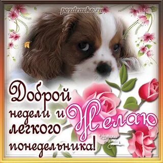 Хорошие хорошие хорошие хорошие корректировки