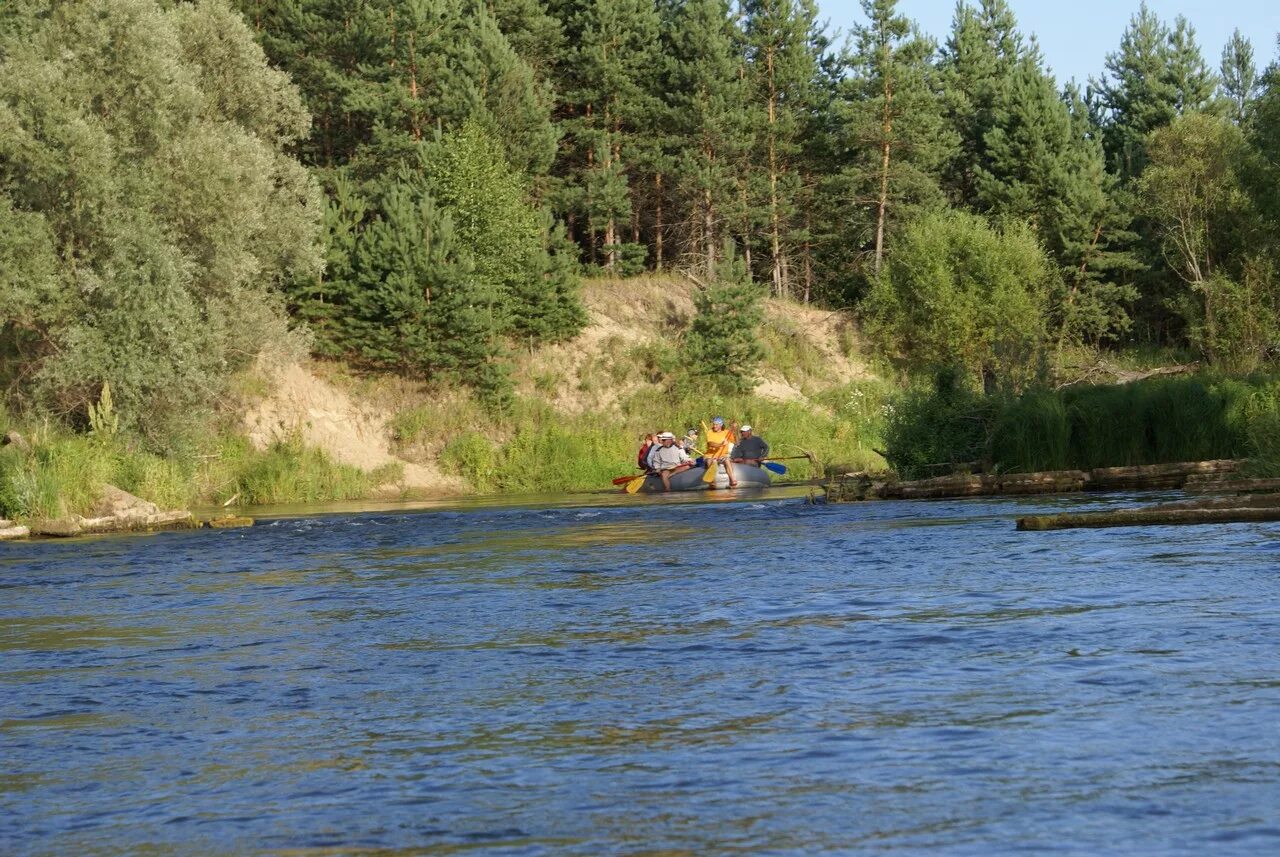 Речка Сережа в Нижегородской области. Исток реки Сережа. Река тёша Нижегородской области.