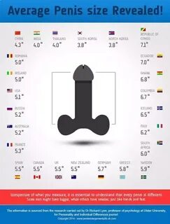 What is the average size for a penis?