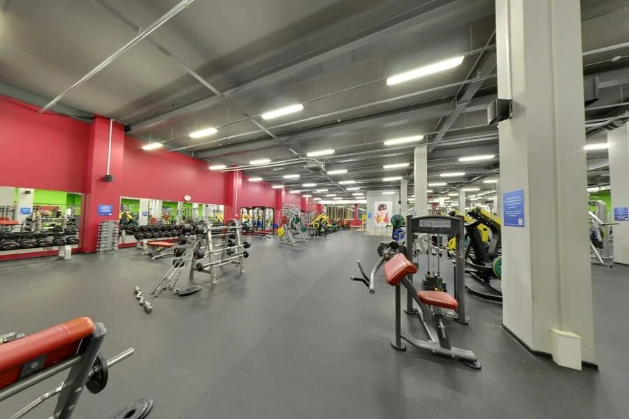 цо кудрово 3. фитнес лайф краснодар черкасская 62. Alex fitness спб кудрово. фитнес лайф кудрово пражская 6. алекс фитнес кудрово тренажеры.