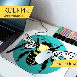 Жуки мыши