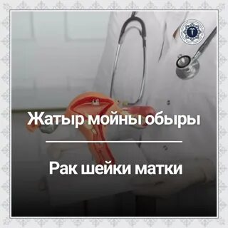 Менің досыма порно соруға көмектесті