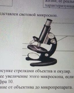 Что обозначают цифры на микроскопе