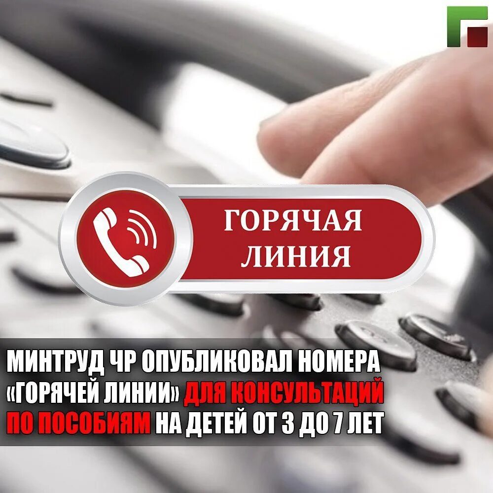 Горячая линия Минтруда России. Минтруд горячая линия Россия. Номер горячей линии Минтруда по Республике Дагестан с обращением. Телефон минтруда россии