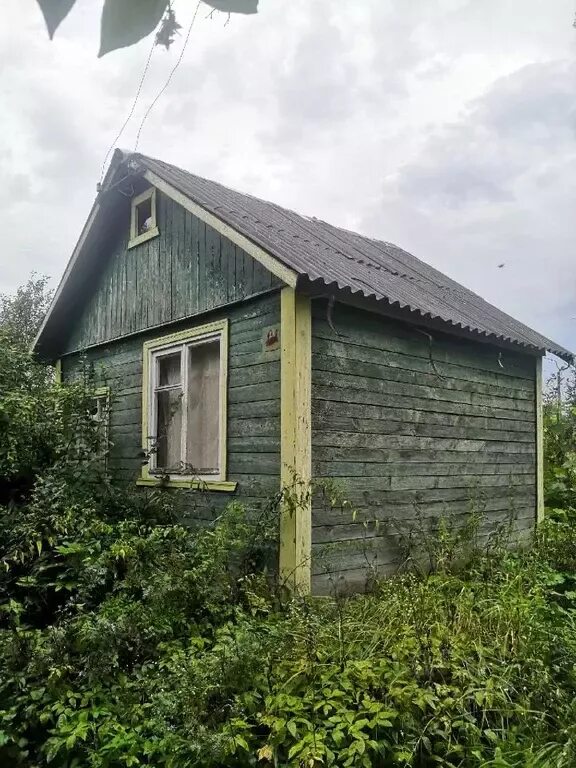 Погода снт белые. Белый ключ 1 снт. Погода снт белые. Снт белая речка. Фото речка в снт зелёная зона.