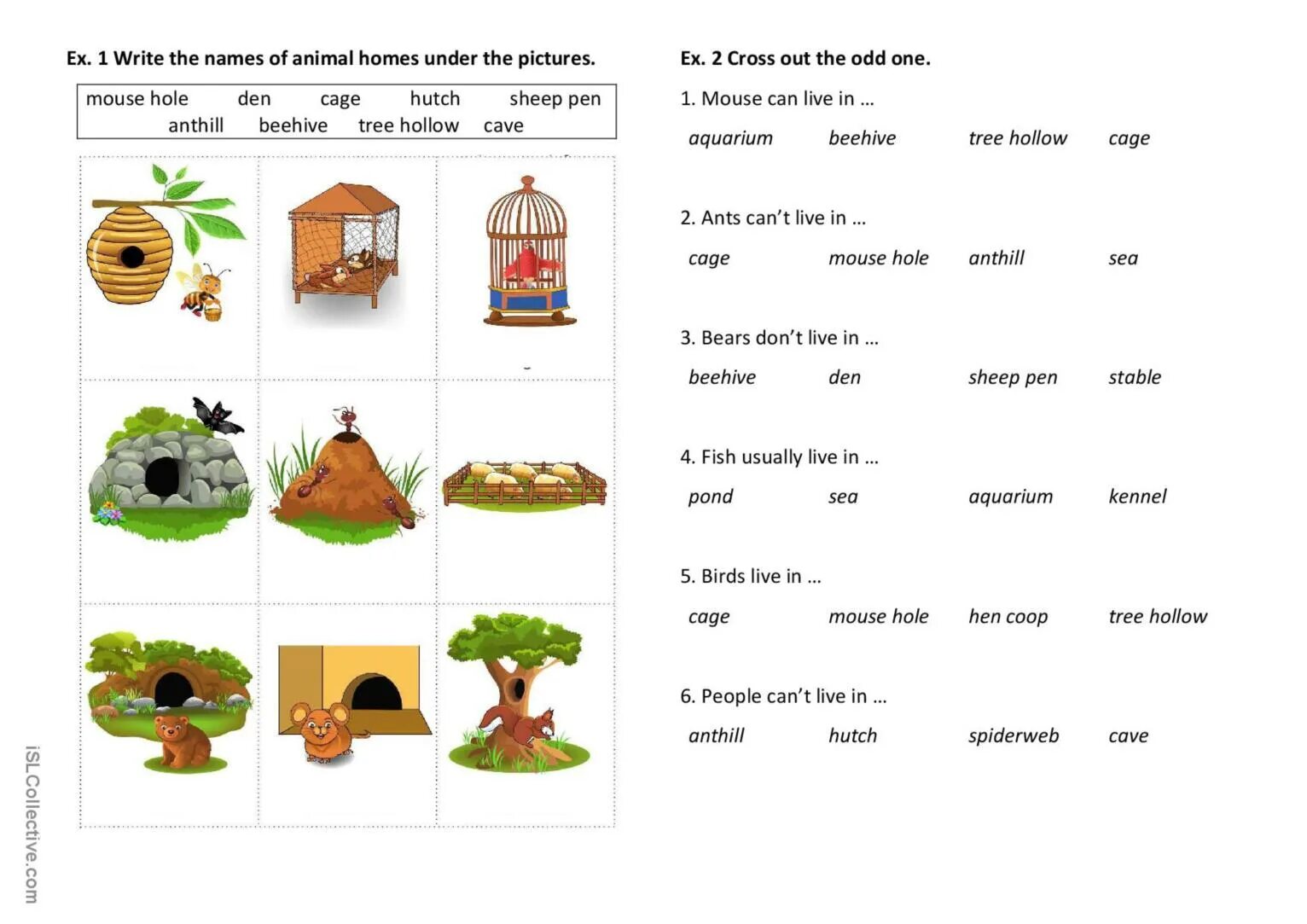 The Home английский Worksheet. Animals Homes Worksheets. Home animals Worksheets for Kids. Home Pets Worksheets for Kids. Animals house перевод