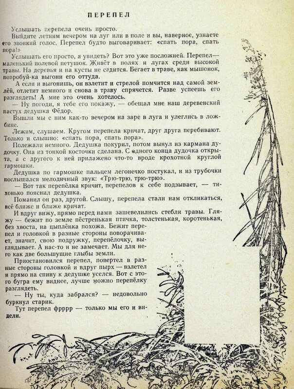 Скребицкий весенняя песня читательский дневник. Раненые деревья Скребицкий. Скребицкий птицы. Отрывок из рассказа Скребицкого. Скребицкий белый кораблик.