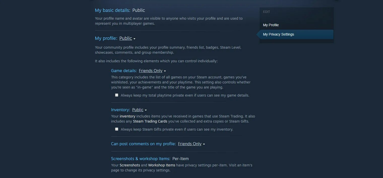 Steam settings. Privacy settings on. Steam Invisible name. Game details Steam как открыть.