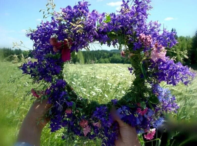 Полевых цветов веночек. Венок из луговых цветов. Сплести венок из полевых цветов. Венок из полевых трав. Матушка полевых цветов веночек