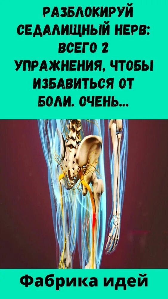 Защемление седалищного нерва симптомы отзывы. Упражнения для седалищного нерва. защемление седалищного нерва. воспаление седалищного нерва.