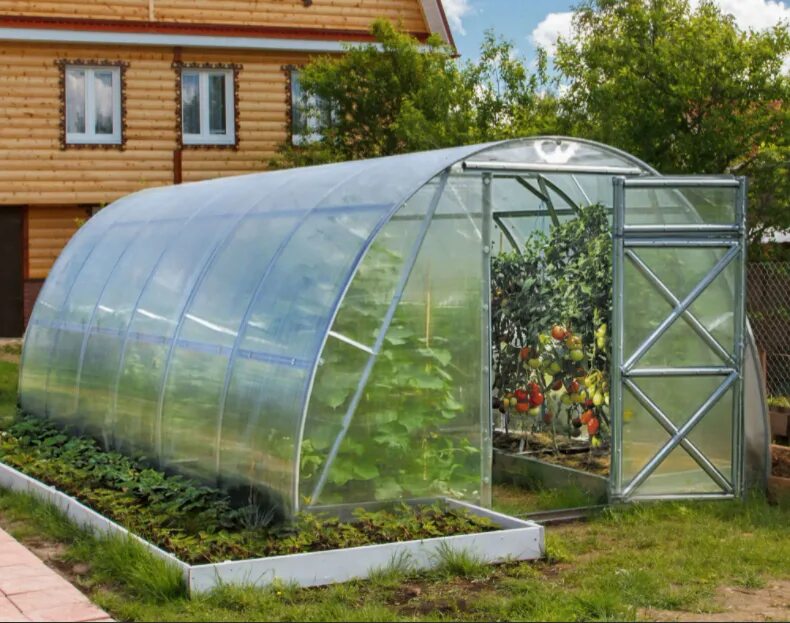 Картинки арочные с двойной дугой теплицы. Теплица "дачная 2дум" 3х6. Теплица воля стрелка 2. Парник агрощит барнаул. Поликарбонат для теплицы.