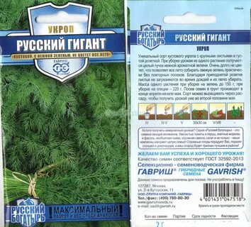 Гавриш русский богатырь