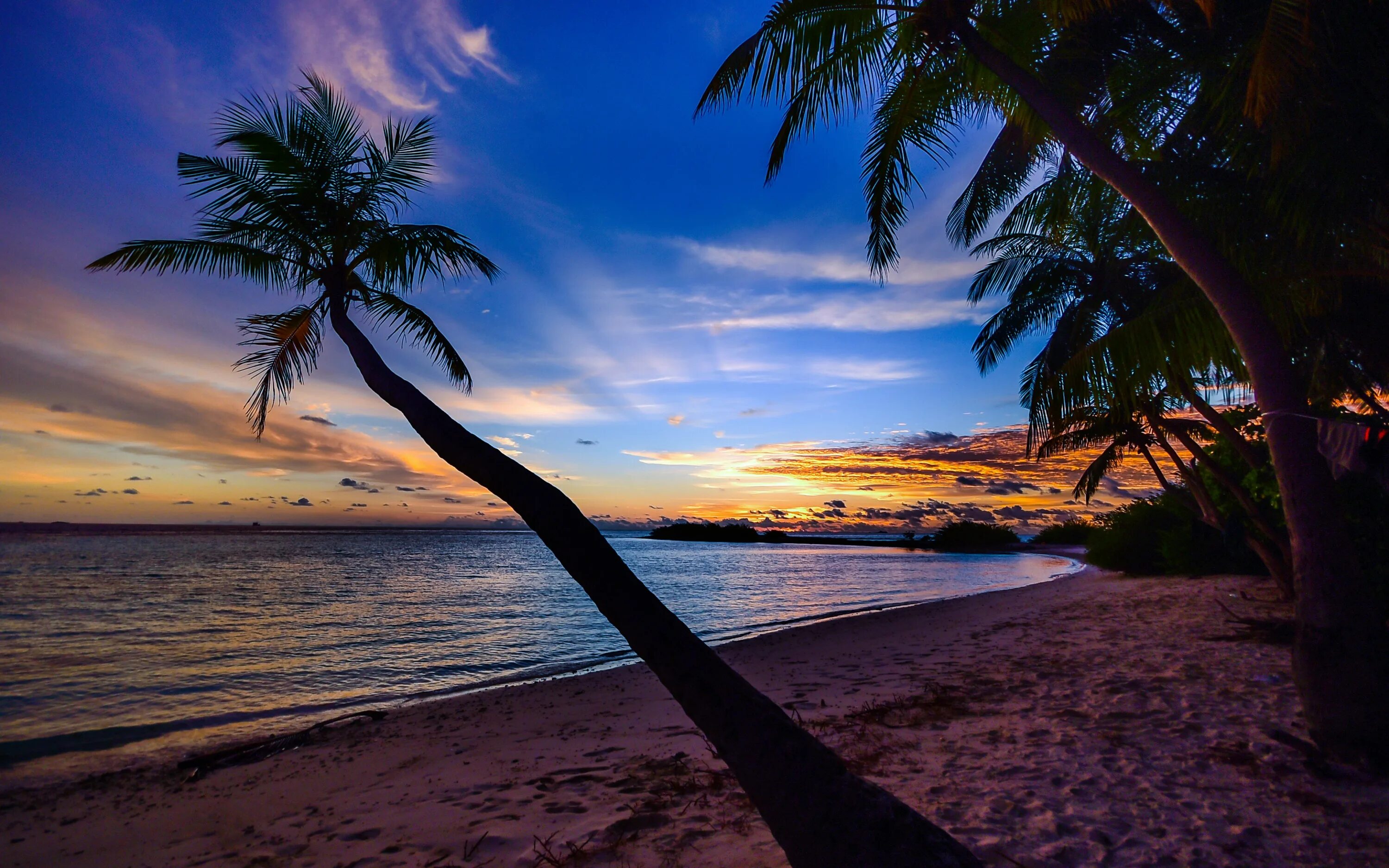 Сансет Бич Sunset Beach. Сансет Бич пальмы. Сансет Бич пляж. Пляж с пальмами.