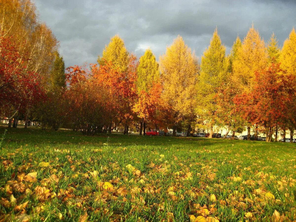 Мес октябрь. Осень октябрь. октябрь природа. сентябрь природа. осень октябрь природа.