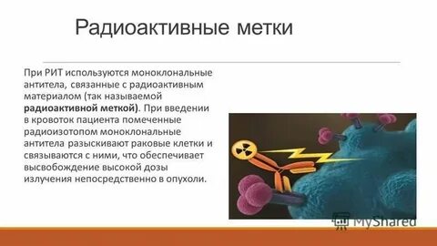 Связанные антитела