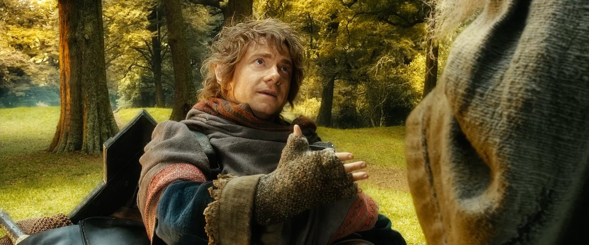 Хоббит нежданное путешествие пустошь смауга. Хоббит битва пяти воинств. Хоббит битва пяти воинств финал. Хоббит качестве 720. Бильбо гэндальф и гномы.