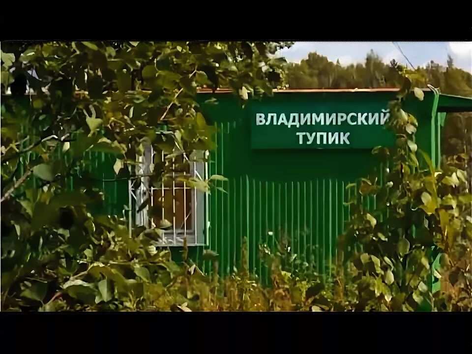 Владимирский тупик холм жирковский. Владимирский тупик холм жирковский. Владимирский тупик ужд. Владимирский тупик холм жирковский. Владимирский тупик холм жирковский.