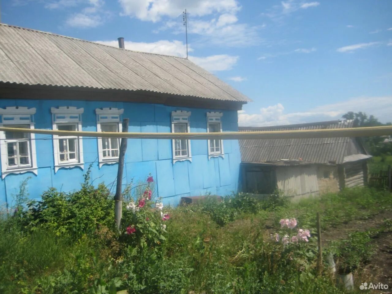 Погода мичурино мордовия чамзинский. Погода мичурино мордовия чамзинский. Село мичурино мордовия. Село мичурино мордовия. Село мичурино мордовия.