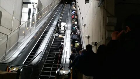 Эскалатор метро поднимается 1 м с