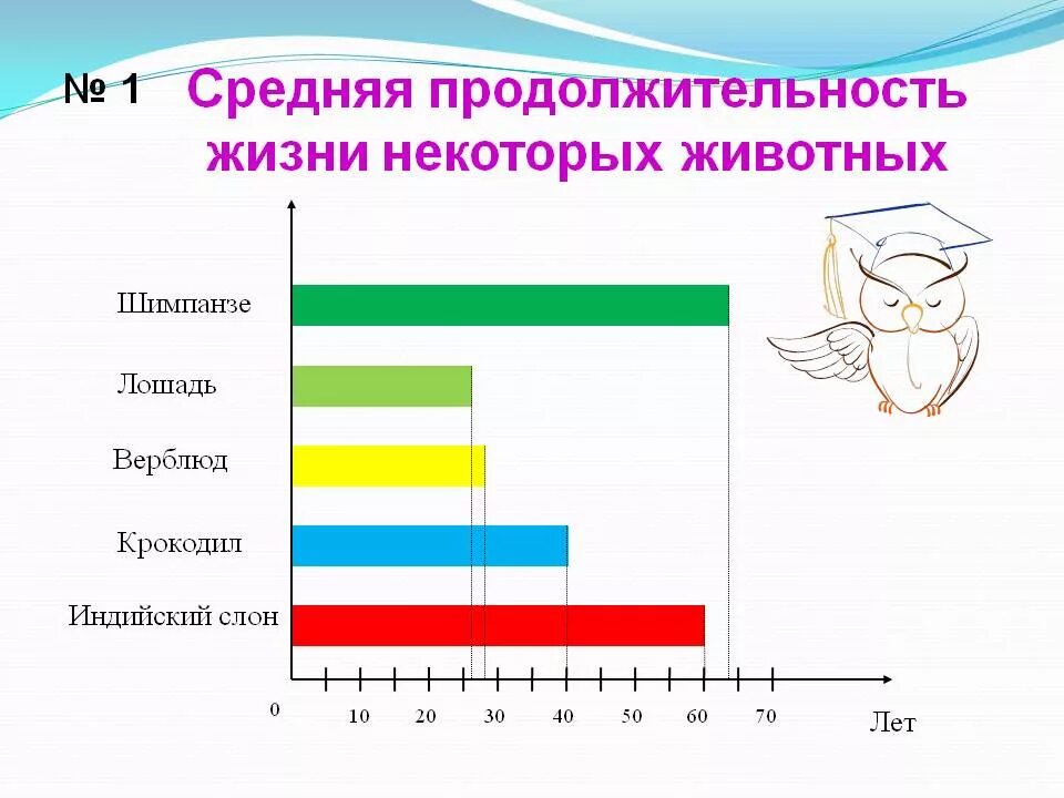 Постройте диаграмму продолжительность жизни отдельных пород деревьев. Средняя продолжительность жизни животных. продолжительность жизни некоторых животных. столбчатая диаграмма продолжительность жизни животных. средняя продолжительность жизни животных таблица.