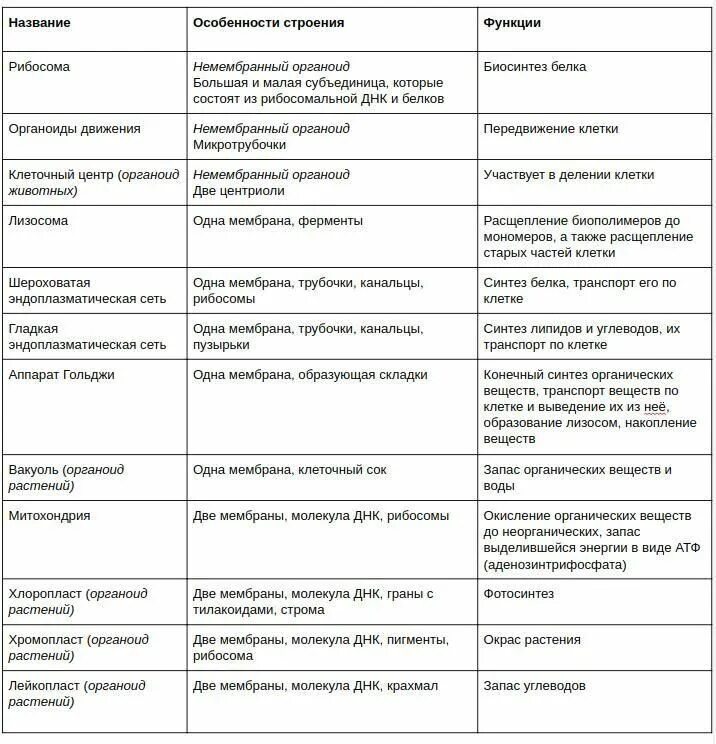 Строение и функции органоидов животной клетки таблица. Название строение и функции органоидов клетки таблица. Органоиды животной клетки таблица 10 класс. Строение клетки органоиды и их функции. Установите соответствие между признаками органоида клетки