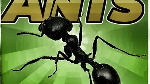 4 ant 1