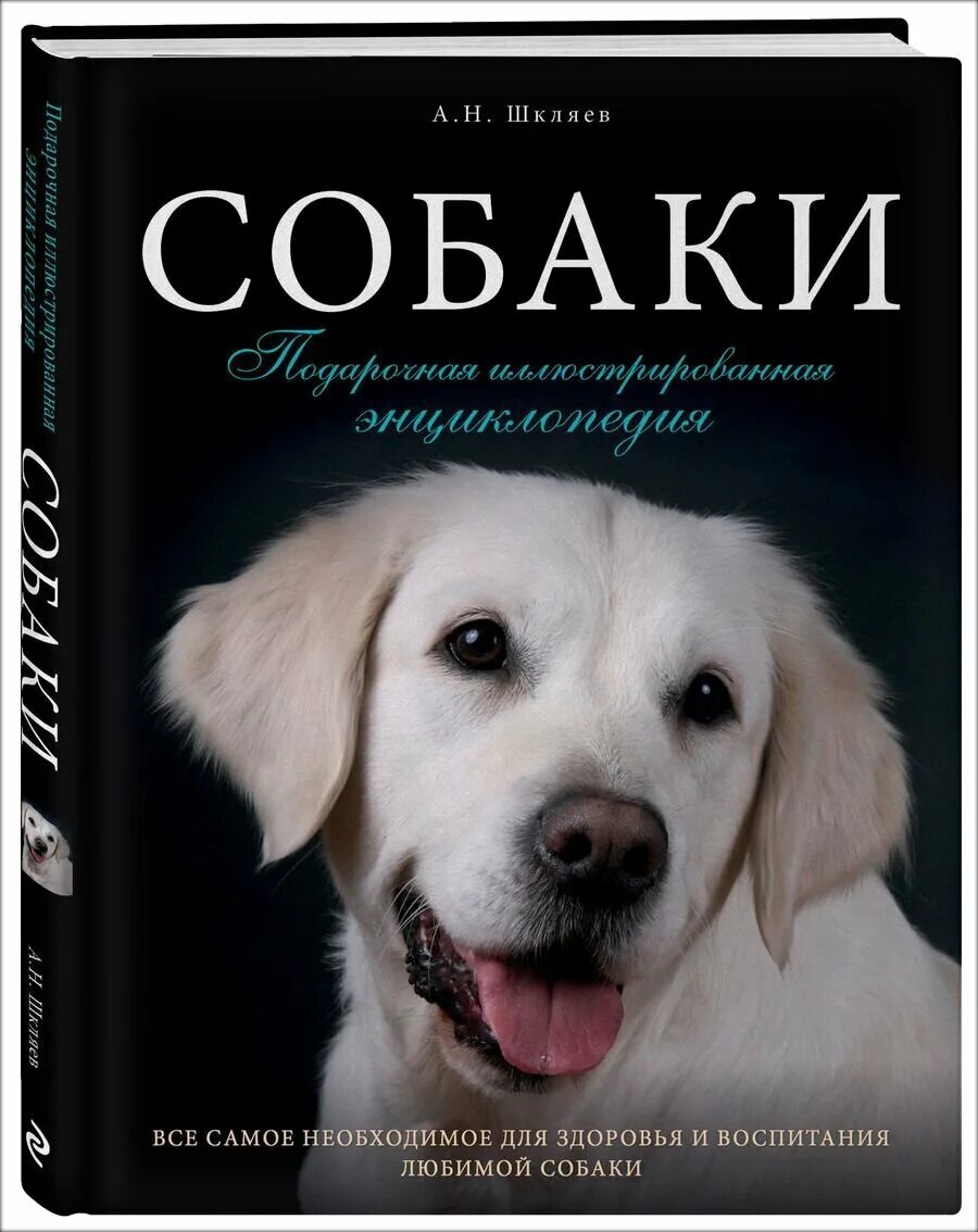 Интересные книги про собак. Энциклопедия о собаках. Книги про собак. Лучшие книги по собакам. Книга воспитание и дрессировка собаки.