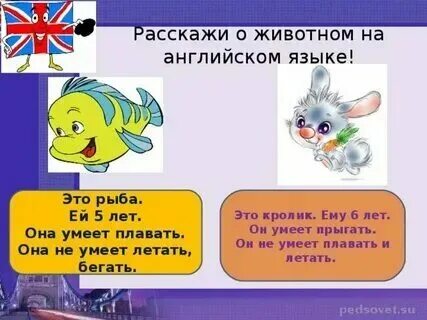 Он умеет на английском. Глагол can в английском языке. Глагол can. Глагол уметь мочь в английском языке. Он умеет на английском.