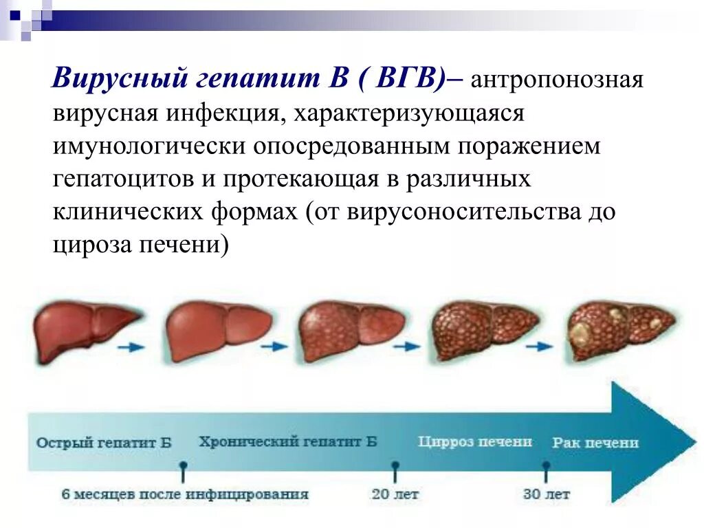 Гепатит печени что это