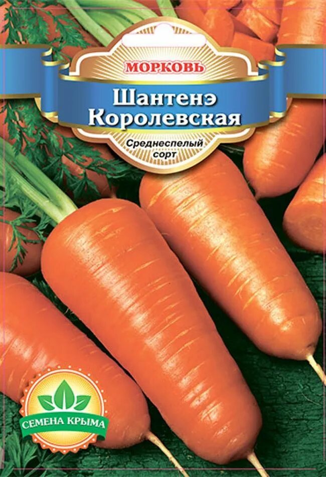 Сорт моркови шантане, описание, характеристика и отзывы, а также особенности выр