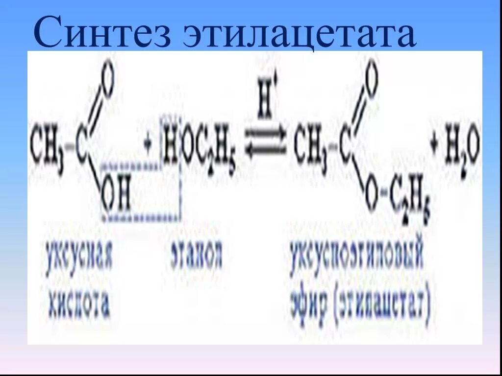 Синтез этилацетата. Механизм образования этилацетата. Установка для синтеза этилацетата. Этилацетат схема.