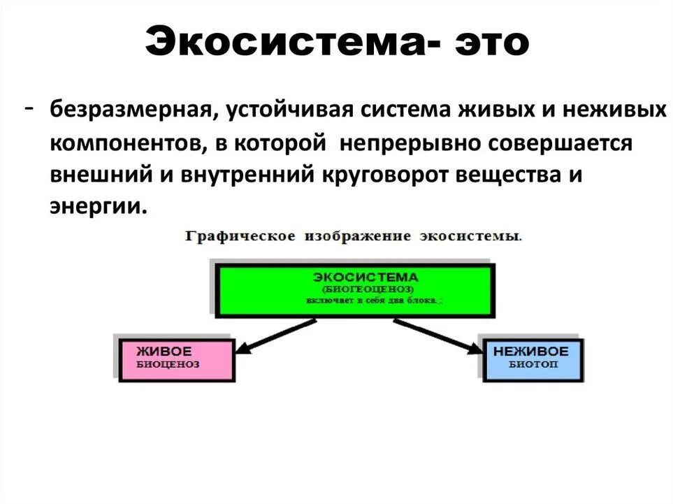 Экологическая система лекция. Экосистема. Экологическая система лекция. Концепция экосистемы а. Экосистема лекция по экологии.
