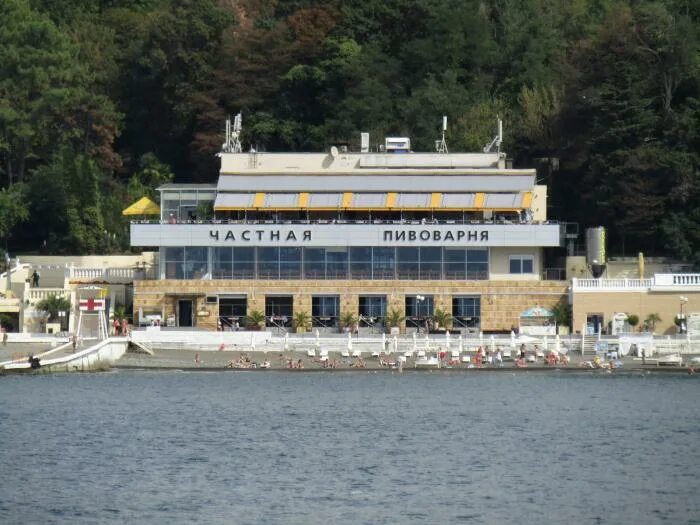 Старгород казанская 7. Пивоварня сочи на набережной старгород. Старград сочи отзывы. Ресторан старгород сочи. Пивной ресторан в сочи на набережной старгород.