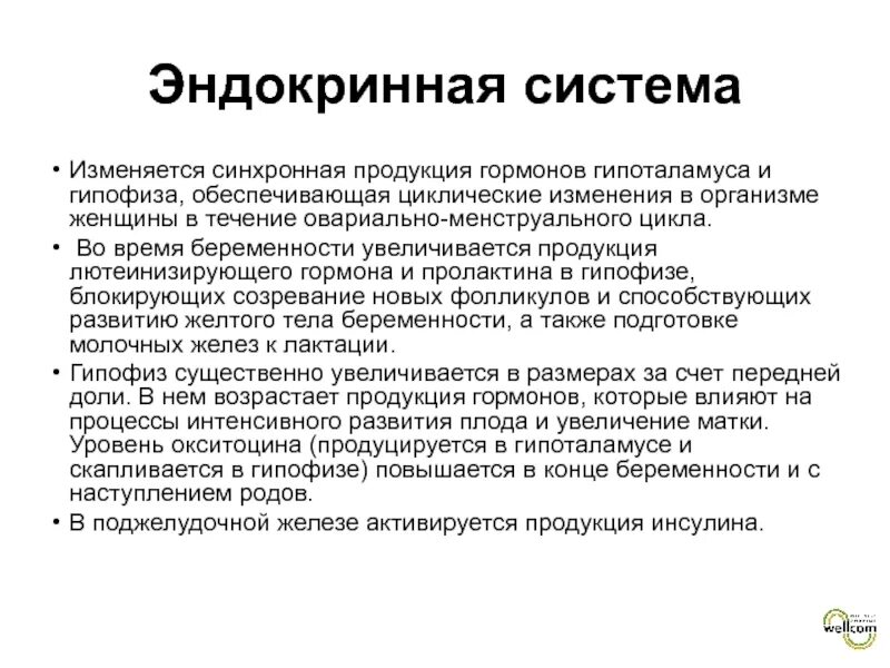 Изменение организма во время беременности. Эндокринная система. Эндокринная система беременной. Эндокринные изменения при беременности. Изменения в эндокринной системе.