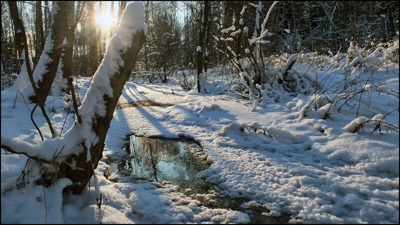 Пришла пора оттепели снег. Ручьи весной. Весеннее таяние снега. Зимний ручей. Таяние снега в лесу.