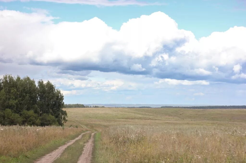 Погода в ужанихе. Деревня Черемшанка Новосибирская область. Село Ужаниха. Село Ужаниха Новосибирская область. Село Ужаниха Чулымского района.